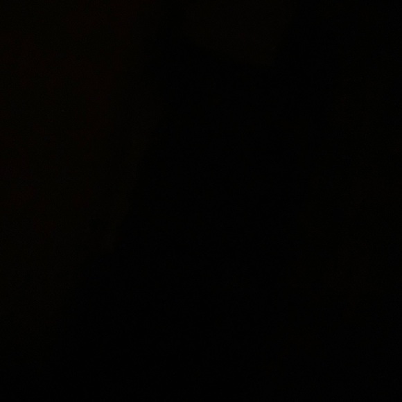 Meet your Posher, Domingo - Picture 1 of 1